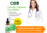 True-Honest-CBD-Oil-fi20341971x470.png