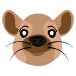 rat.png